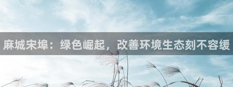 凯发国际官方网站|麻城宋埠：绿色崛起，改善环境生态刻不容缓